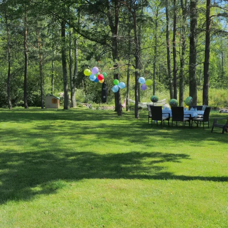 Clean backyard after professional pet waste removal service