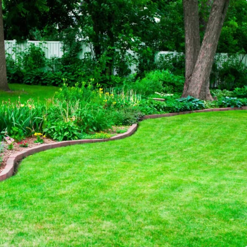 A backyard cleaned and ready for a special event