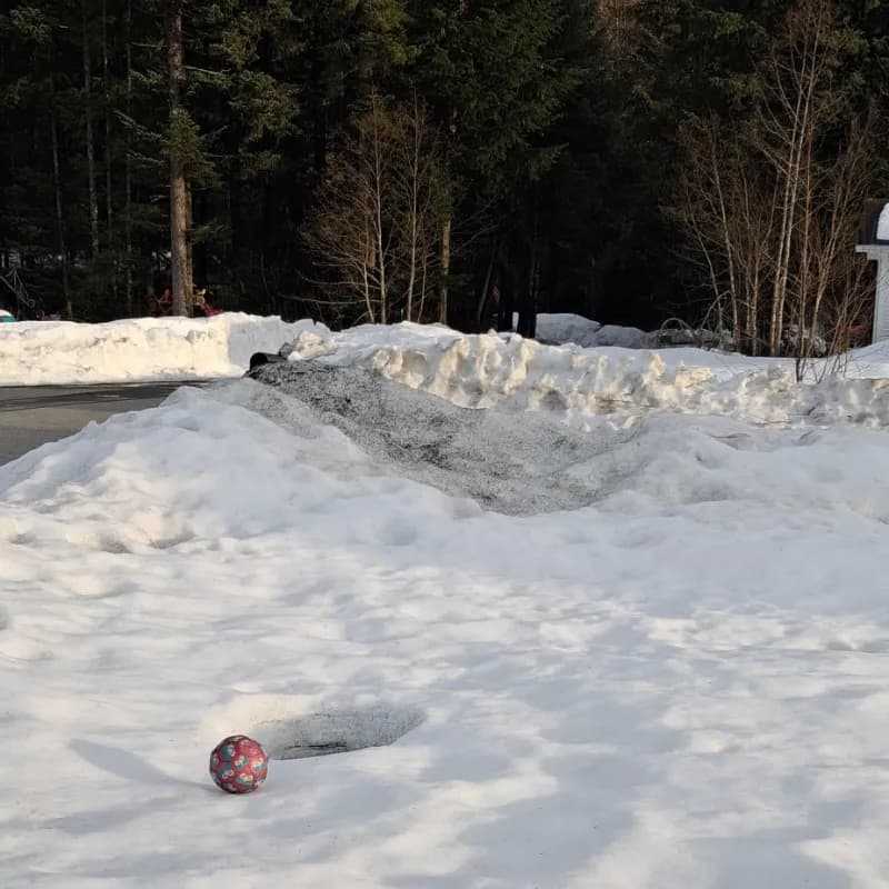 A yard in Juneau recovering after a record-breaking winter