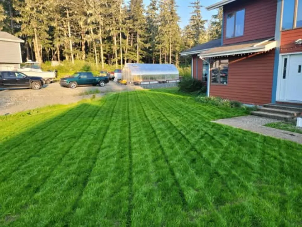 Spotless yard completely free of pet waste and debris
