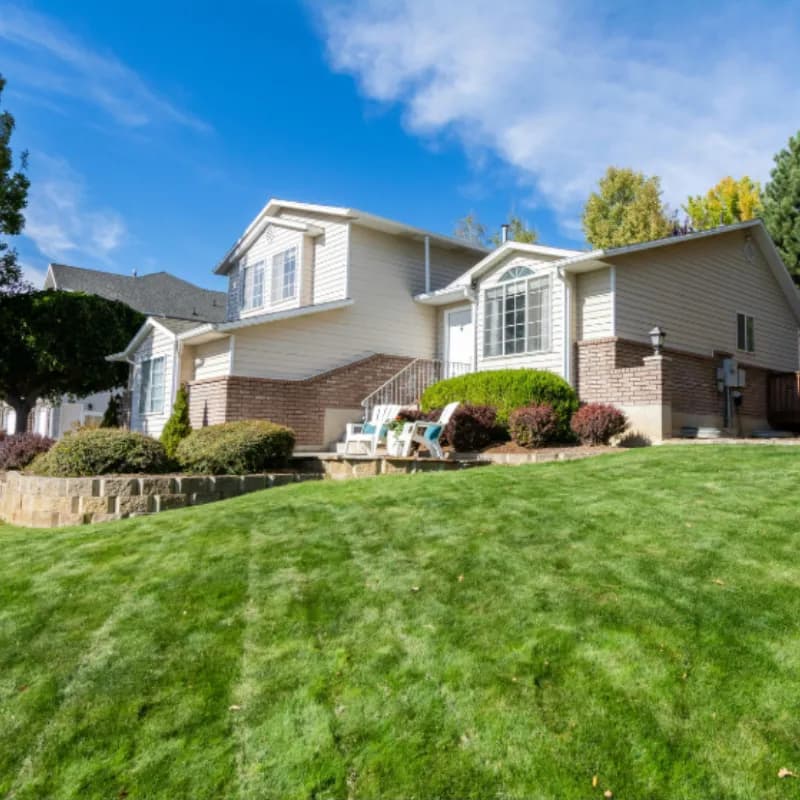 House lawn maintained clean and free of pet waste through weekly service