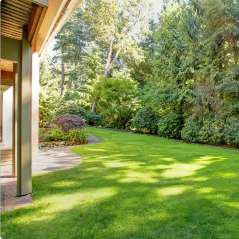 A clean Juneau backyard after weekly pet waste removal service