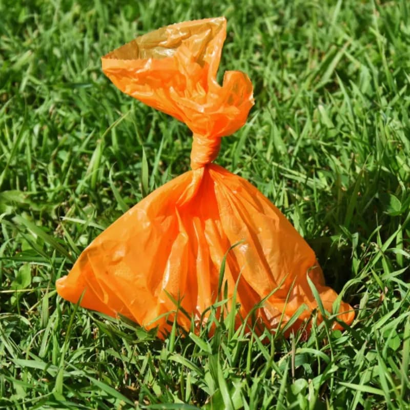 One-Time Cleanup Hero Image
