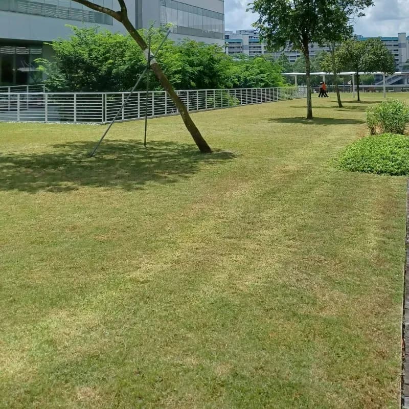 Corporate building with pristine grass maintained free of pet waste