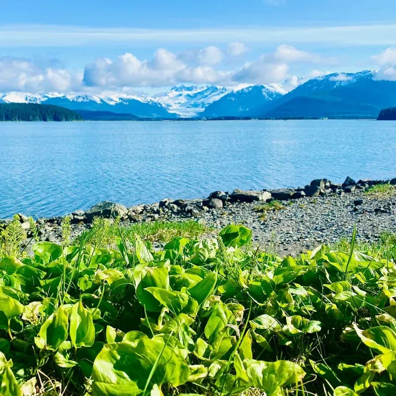 Downtown Juneau