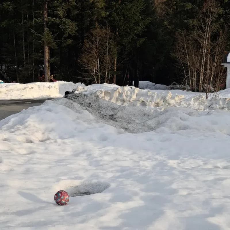 A yard in Juneau recovering after a record-breaking winter