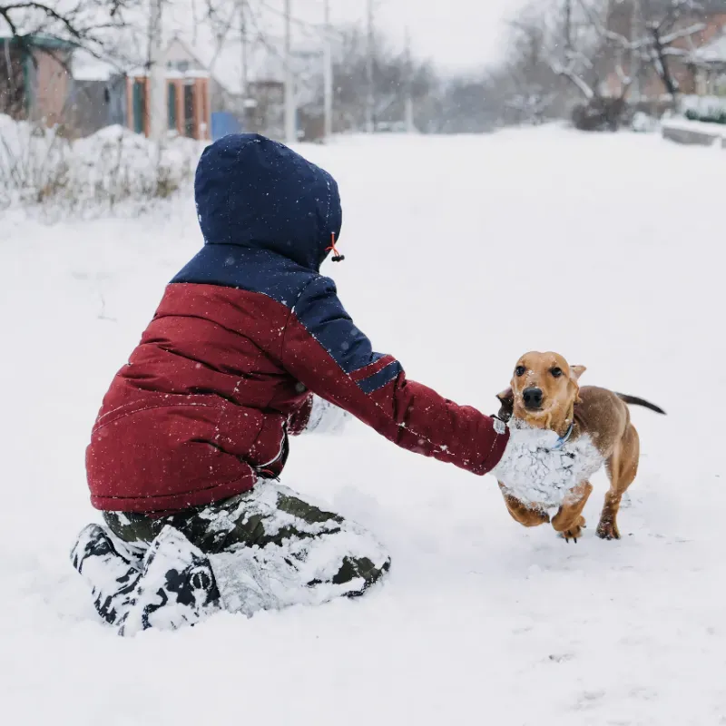 A child playing with a dog in a snowy Juneau yard