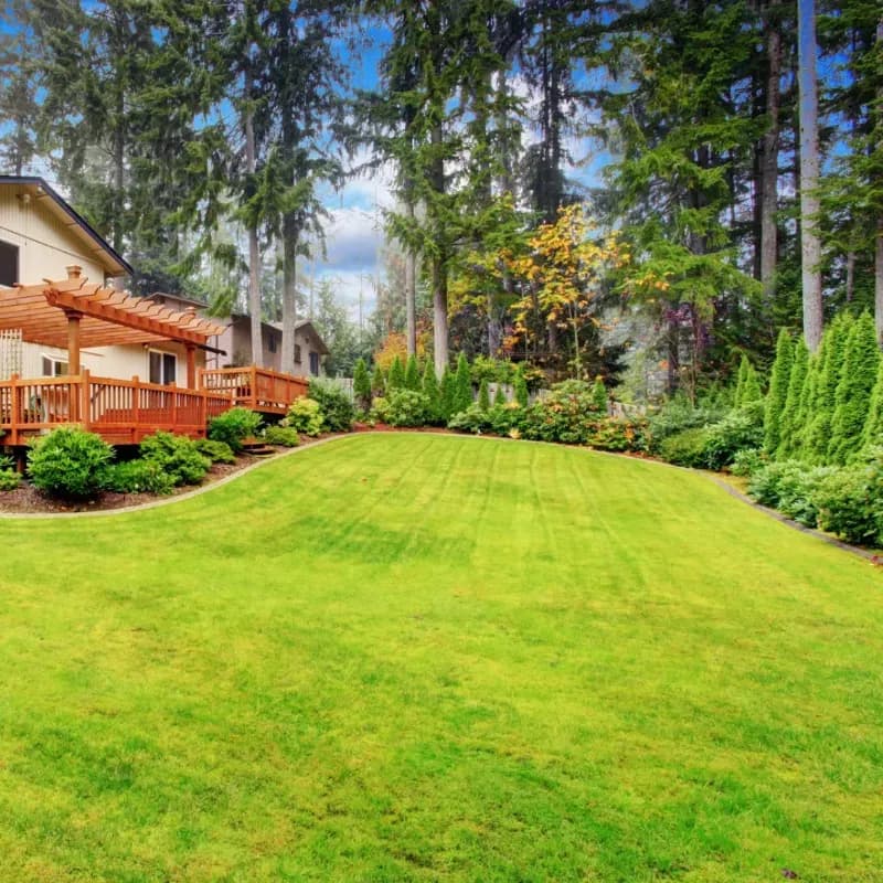 Pristine Alaskan backyard with lush green grass after cleaning